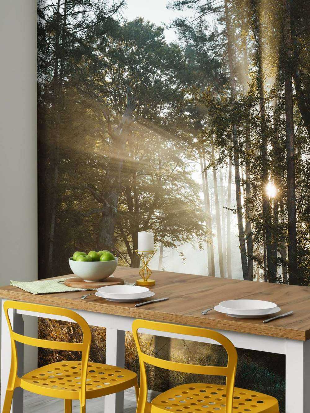 Lumière du matin éclatante à travers la forêt