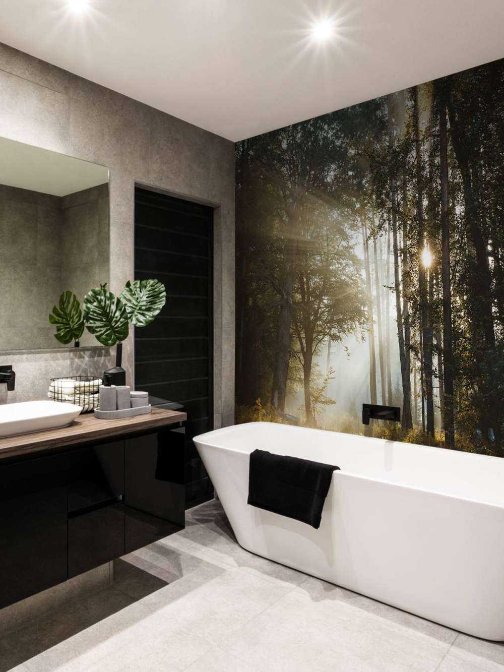 Lumière du matin éclatante à travers la forêt