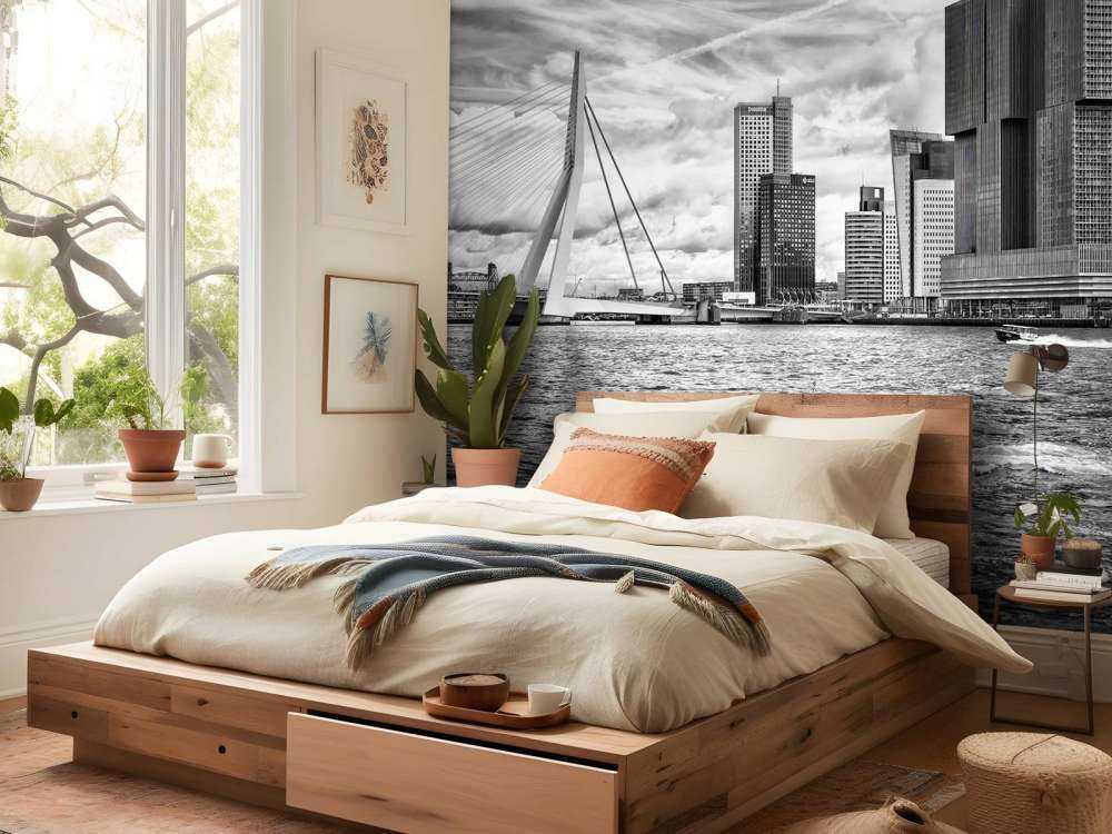 Erasmusbrug et Skyline en Monochrome