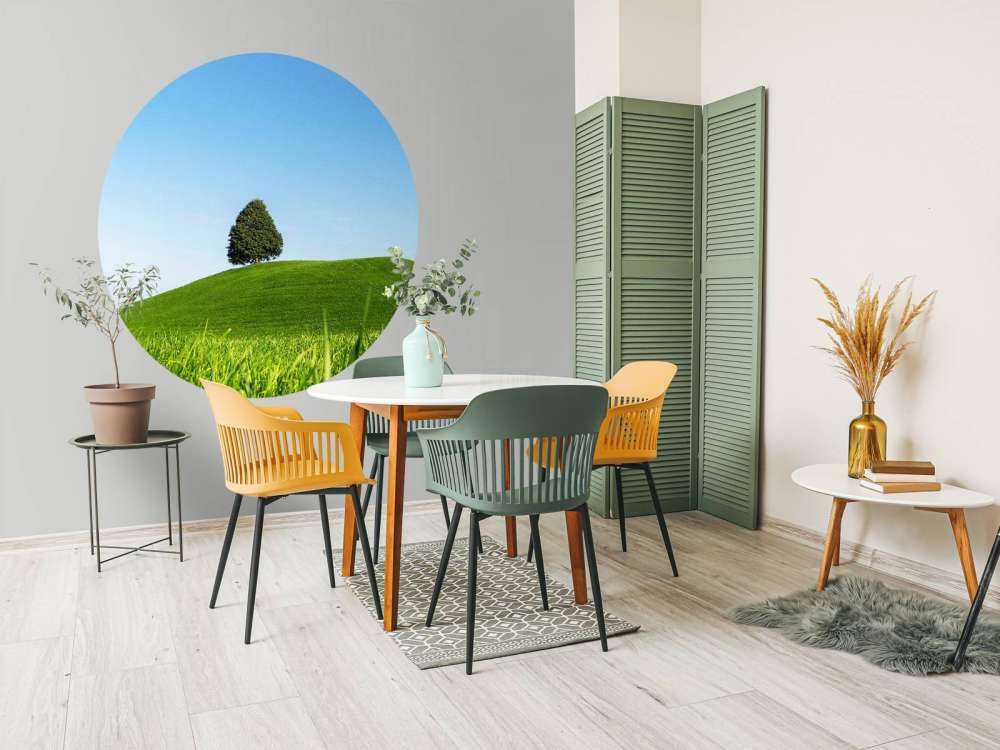 Arbre solitaire sur une colline verte