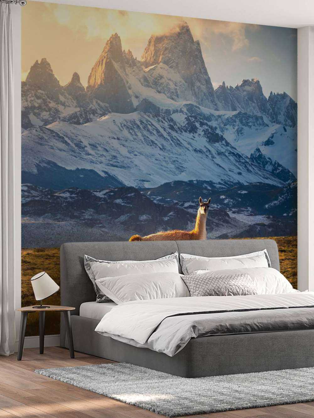 Guanaco en pleine lumière devant les sommets des Andes.