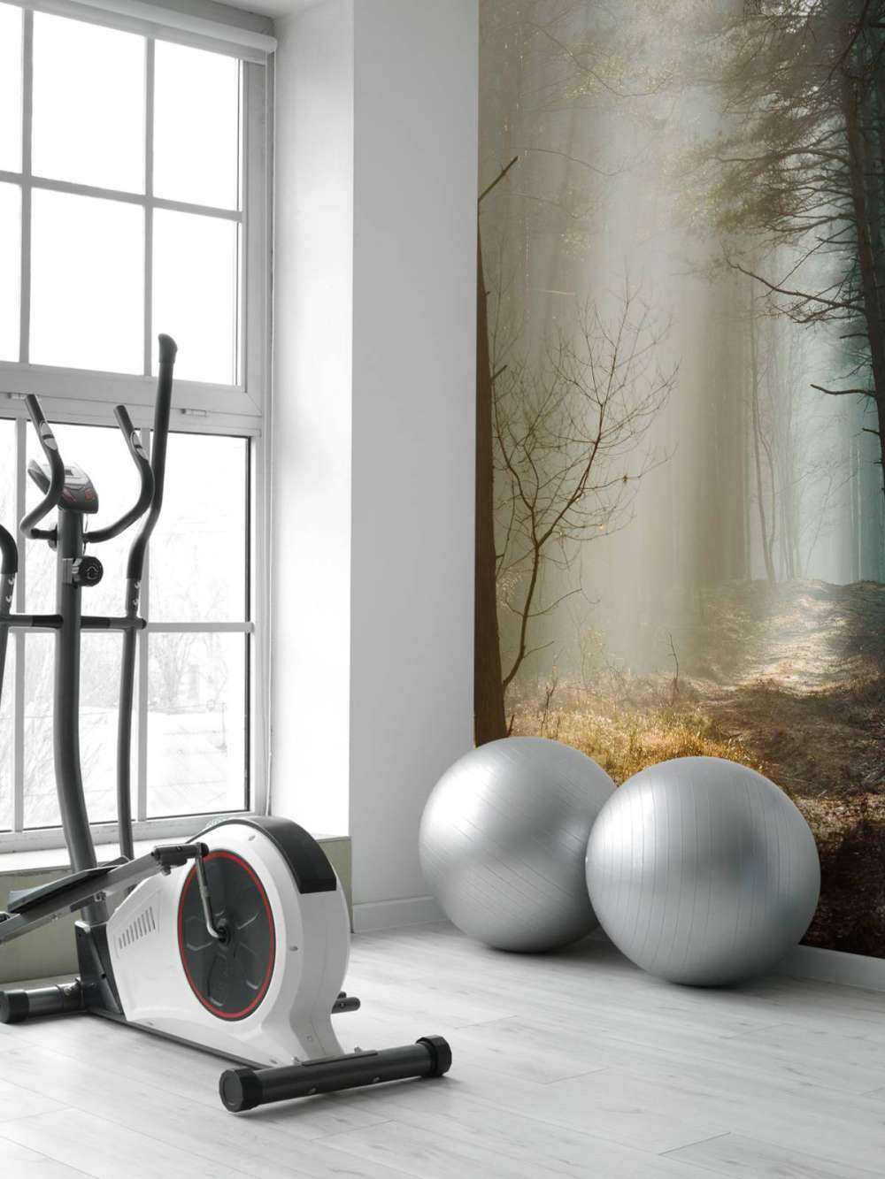 Rayons de lumière à travers la forêt