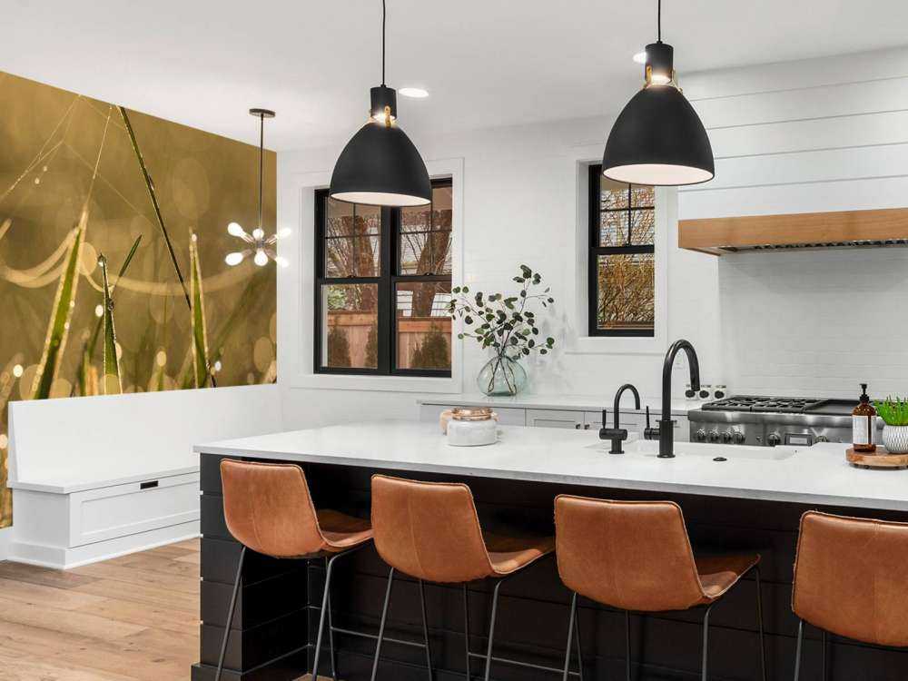 Herbe du matin brillante