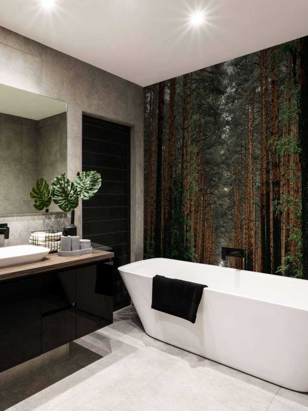 Symétrie de la Forêt