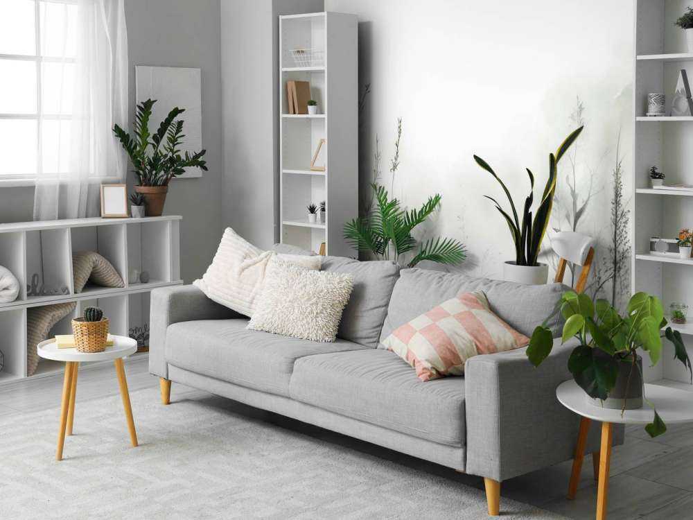 Silence du matin Brumeux Blanc