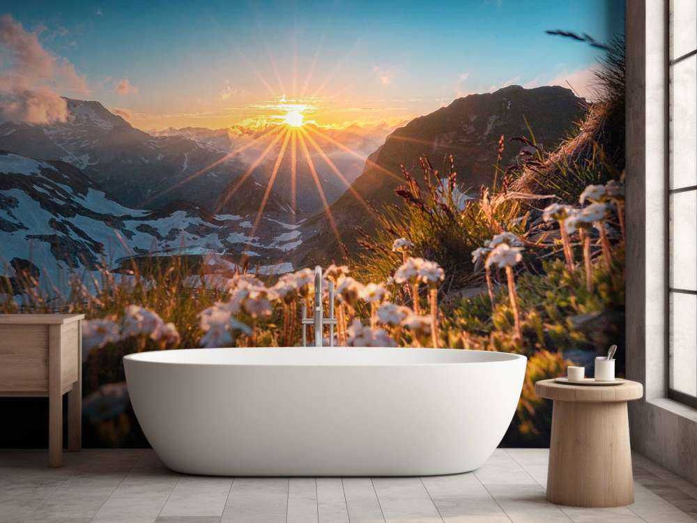 Lumière du soleil sur alpage alpin