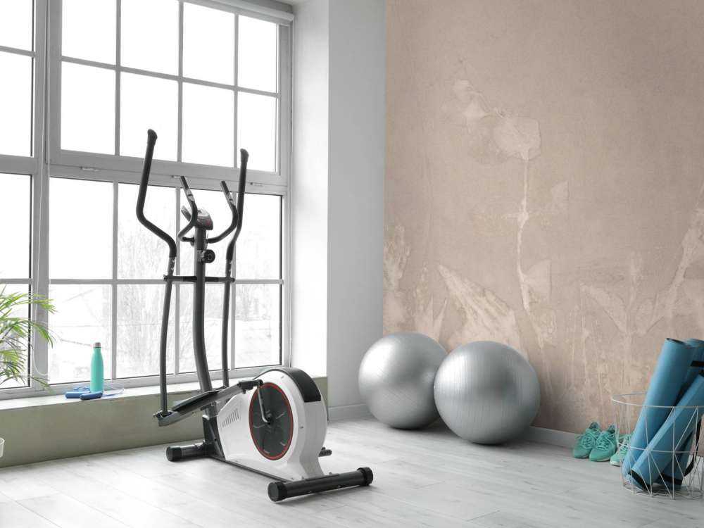 Géranium sauvage en neige - gris souris