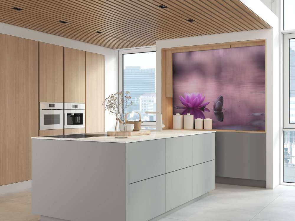 Fleur de lotus dans un étang