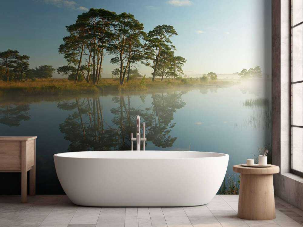 Réflexion dans la lande