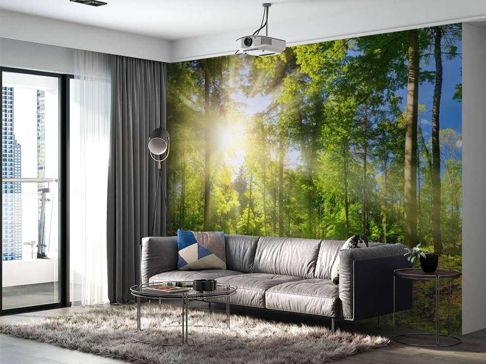 Une forêt avec des rayons de soleil