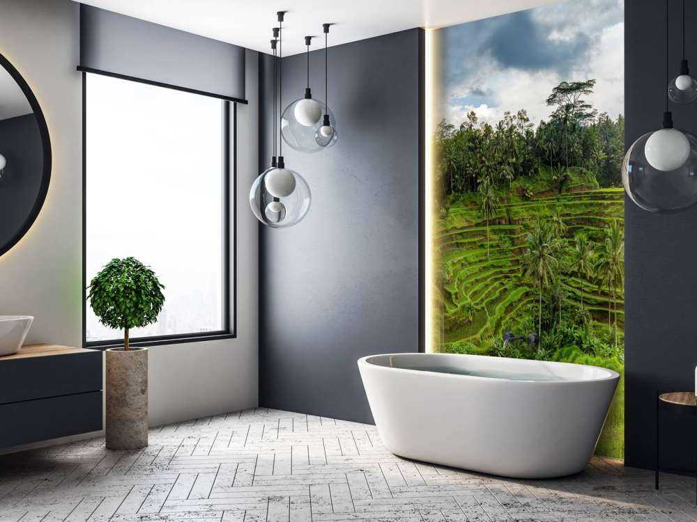 Les rizières thaïlandaises