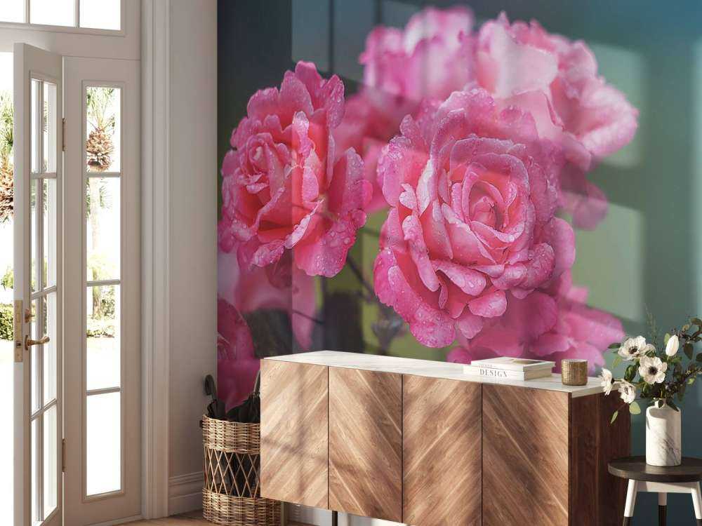 Branche de rose rose