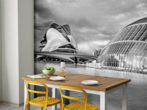 Opéra - Palau de les arts Reina Sofia & Hemisfèric - Valencia