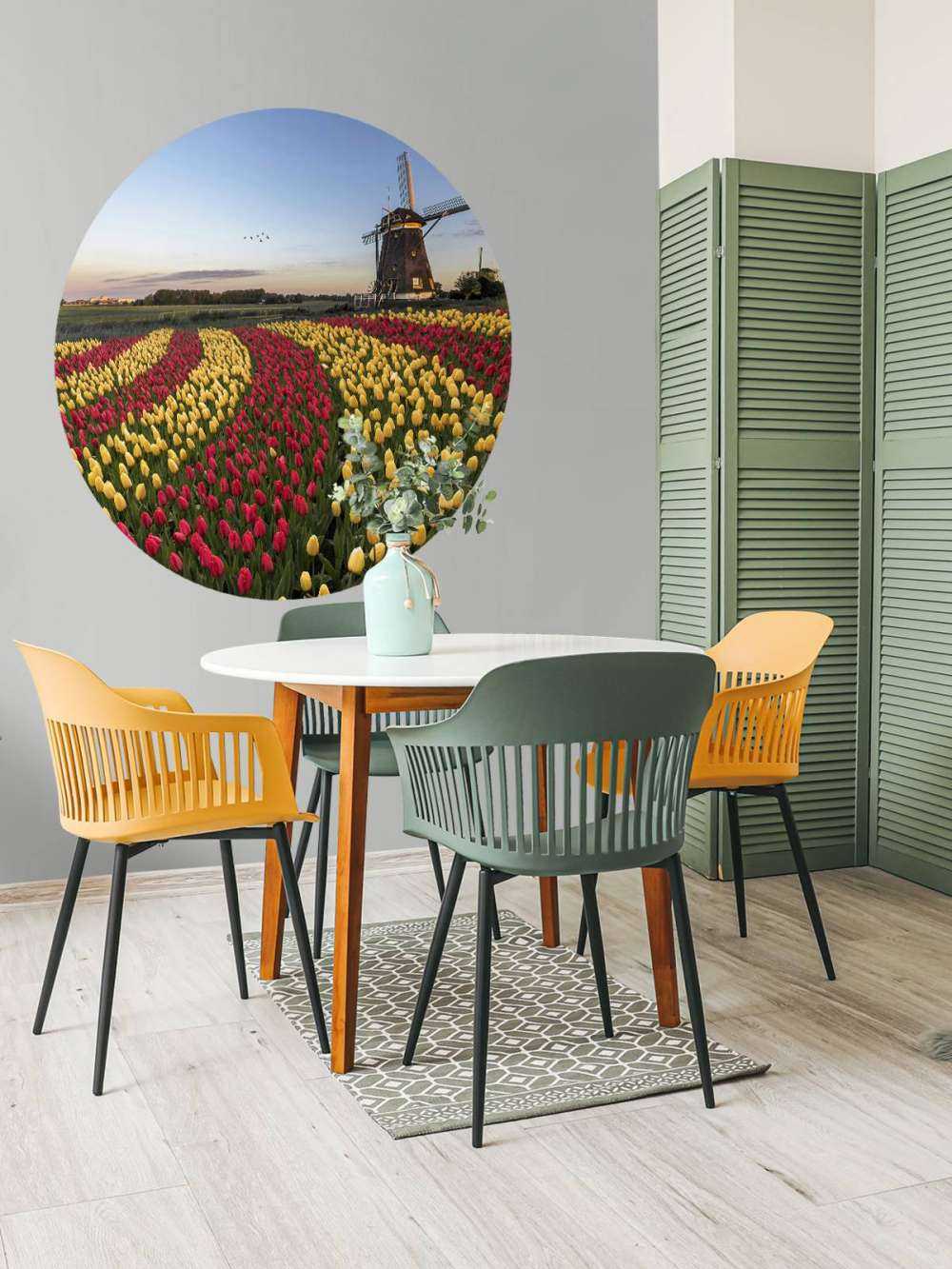 Champ de tulipes néerlandais