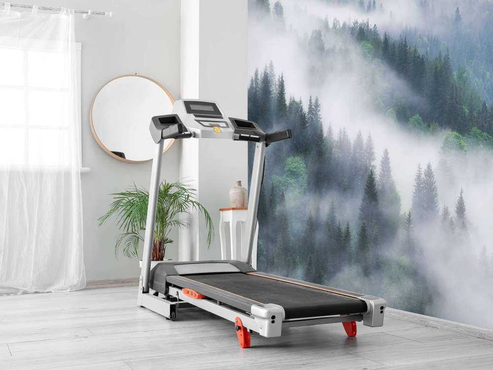 Forêt brumeuse dans les montagnes