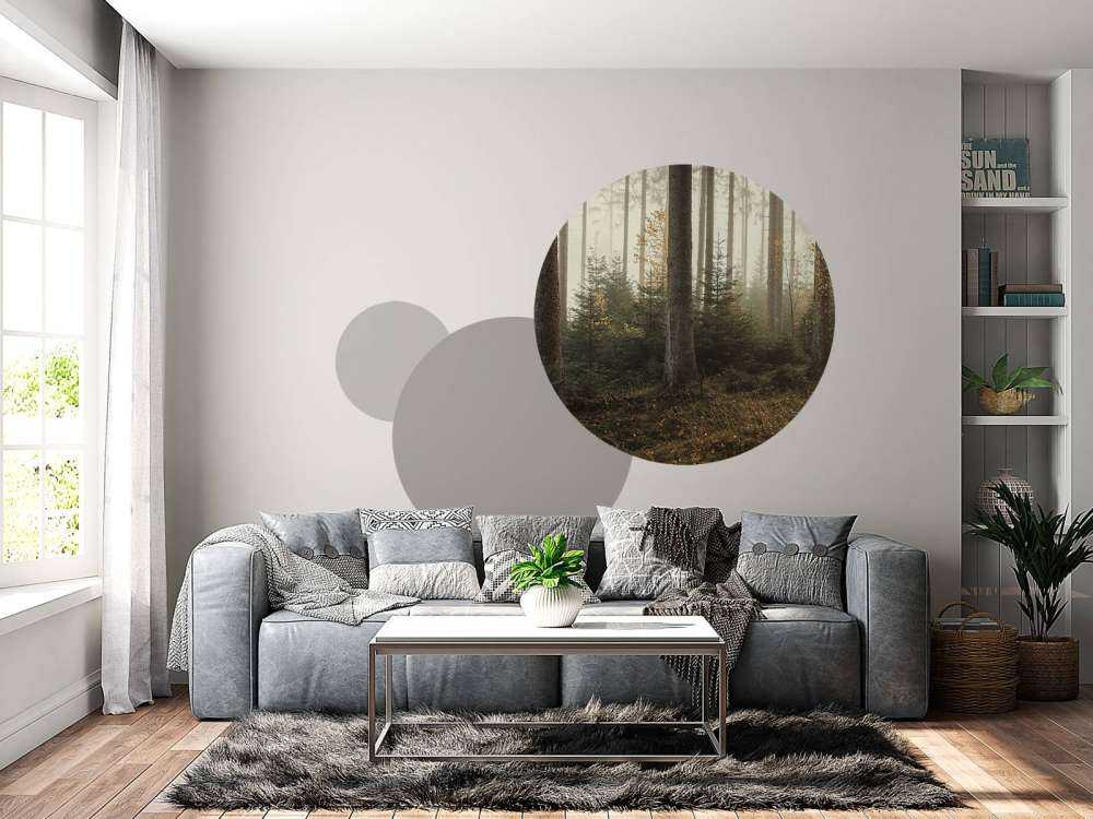 La forêt de Kaufunger