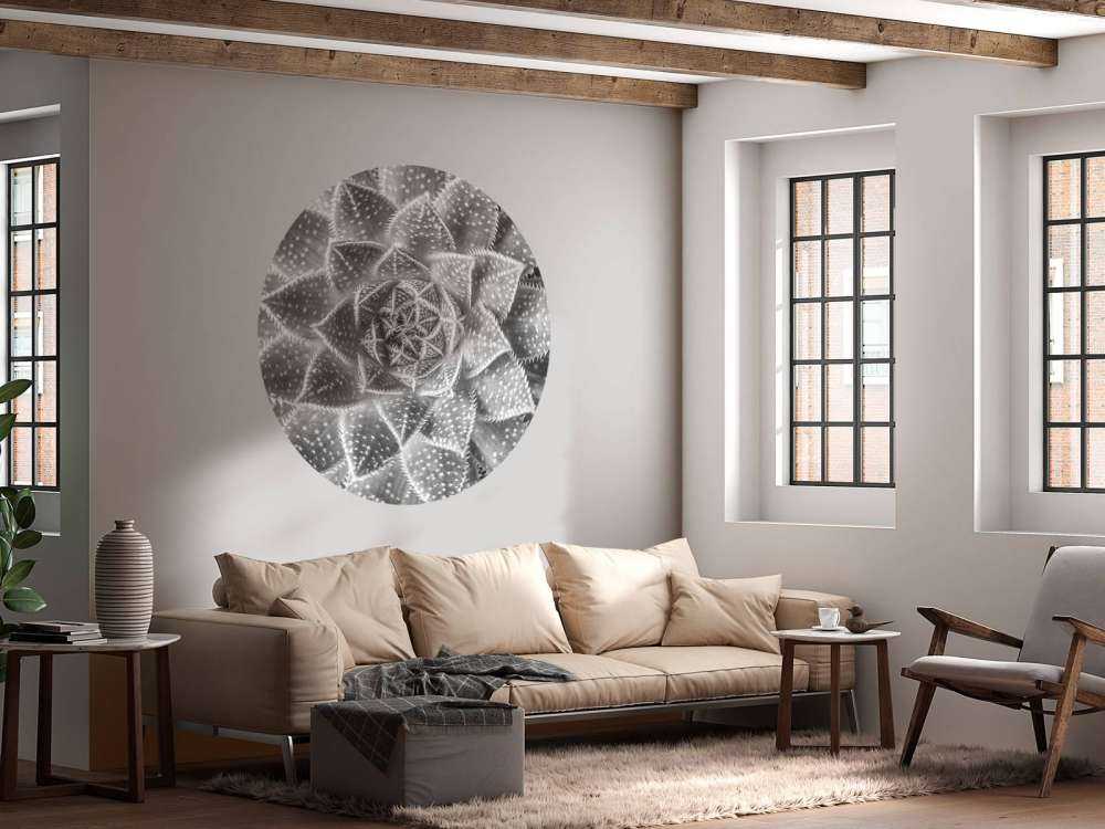 Succulente en noir et blanc