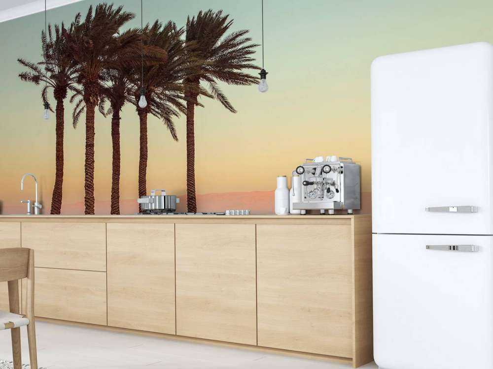 Palmiers au coucher du soleil