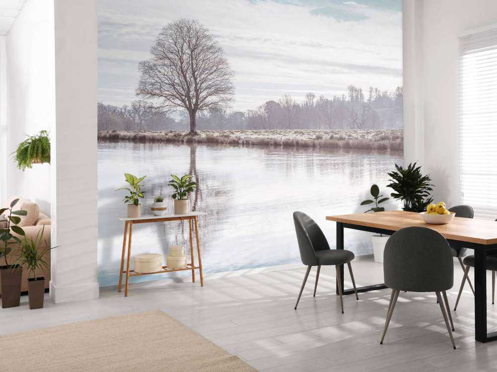 Arbre dans un brouillard