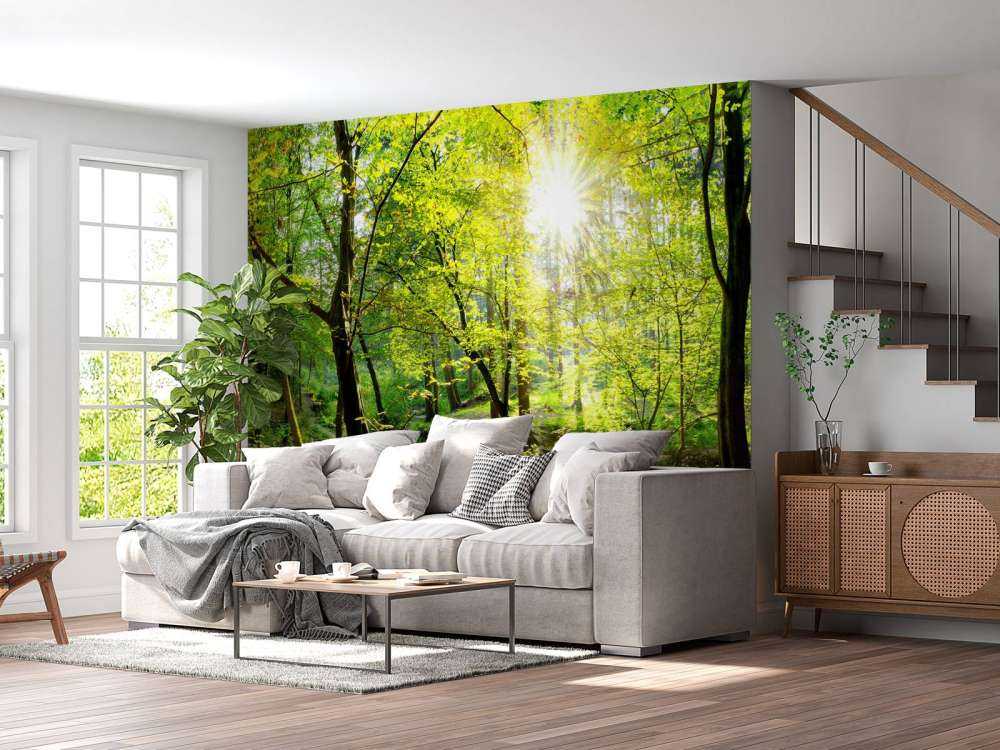 Forêt avec un ruisseau