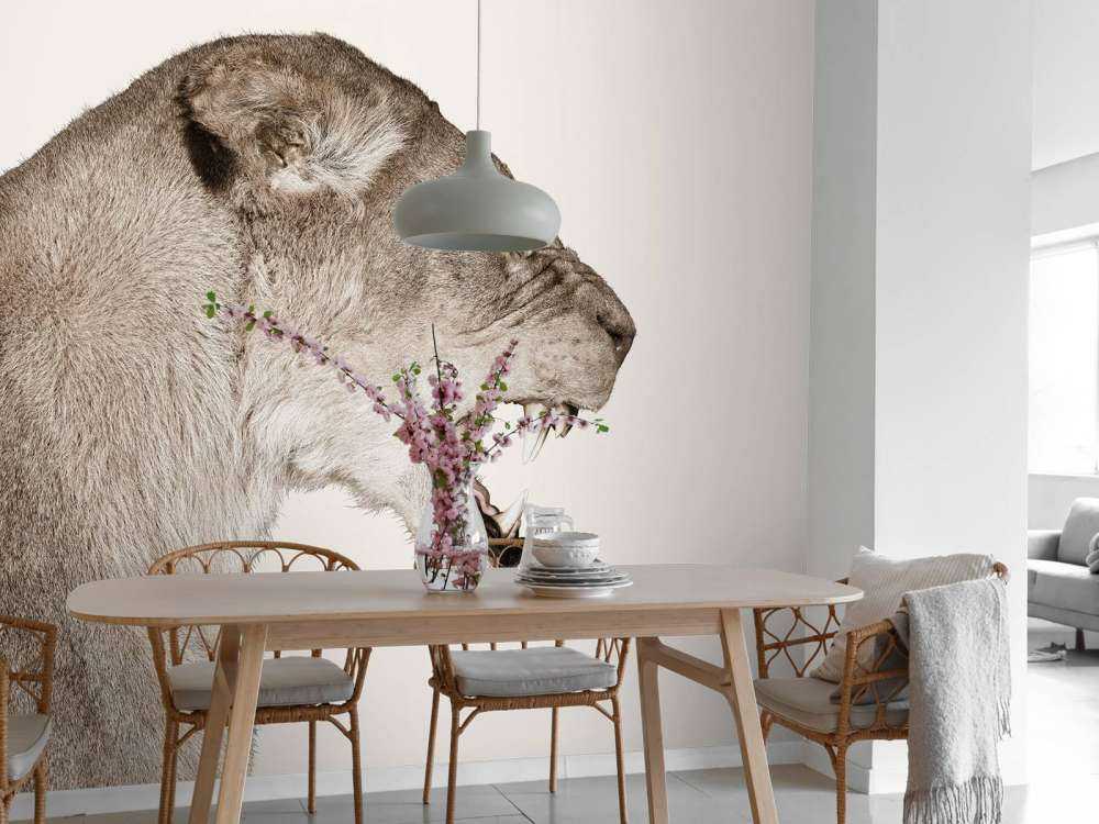 Lionne vue de côté blanc cassé