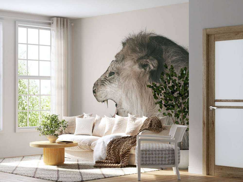 Lion rugissant blanc