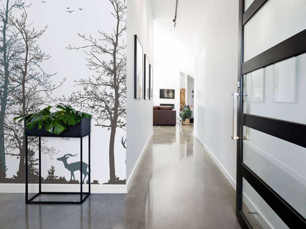 Contour de l'hiver Silence de la forêt