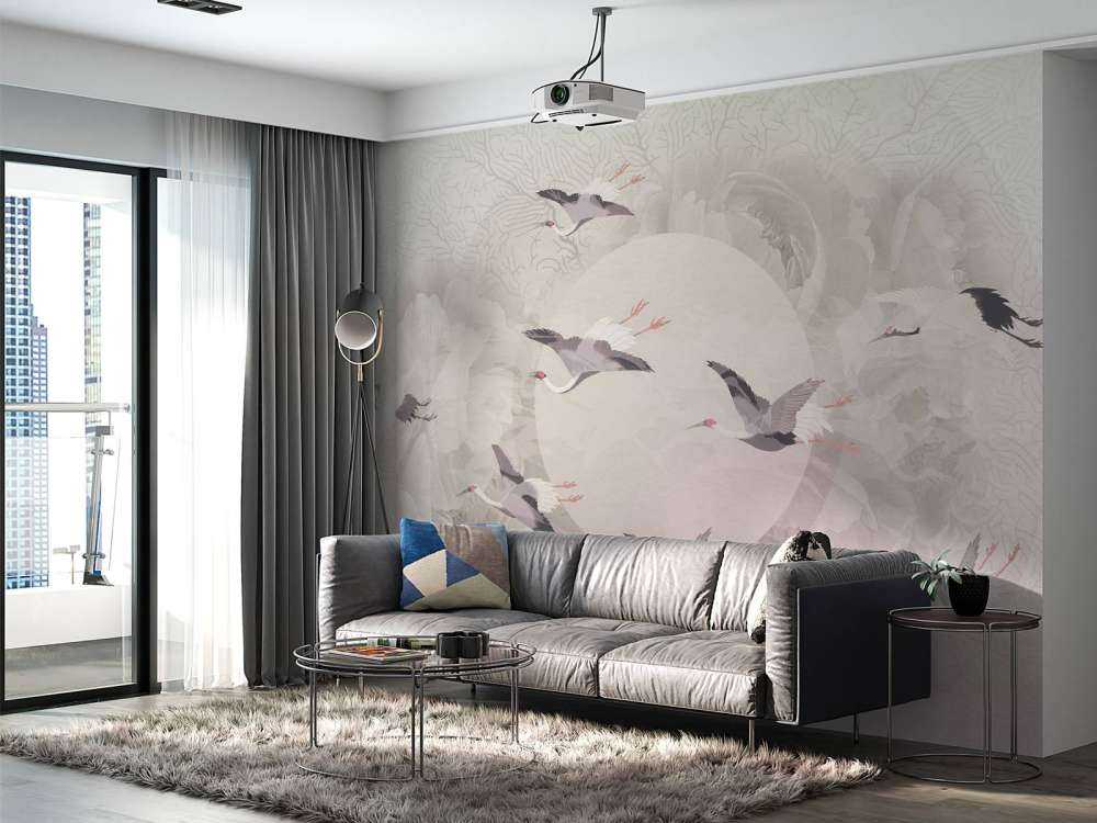 Serenity 6