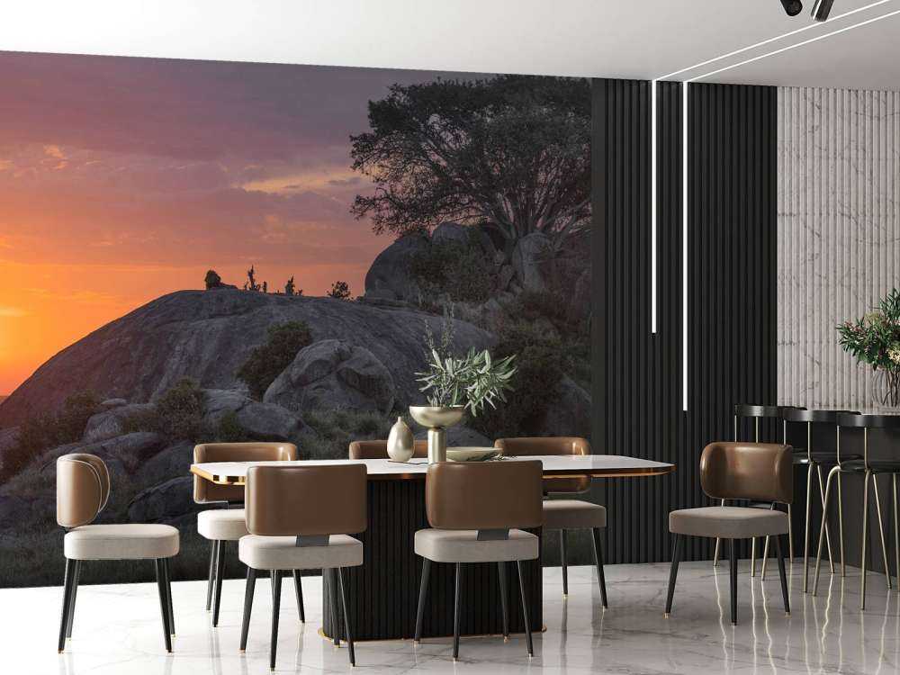 Coucher de soleil sur la savane