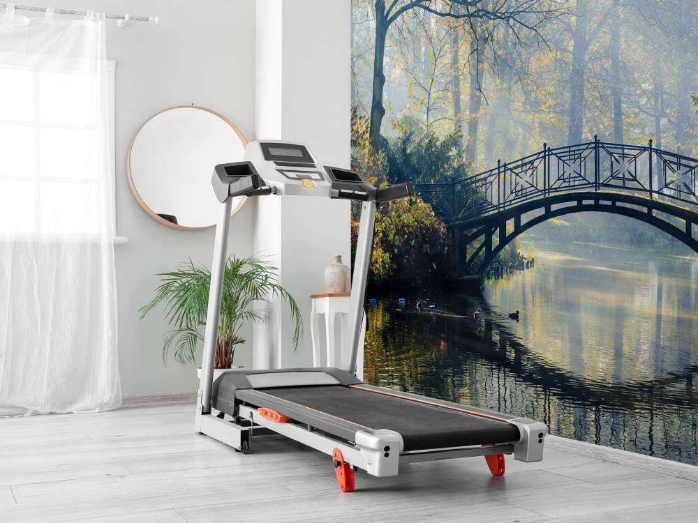 Vieux pont en automne