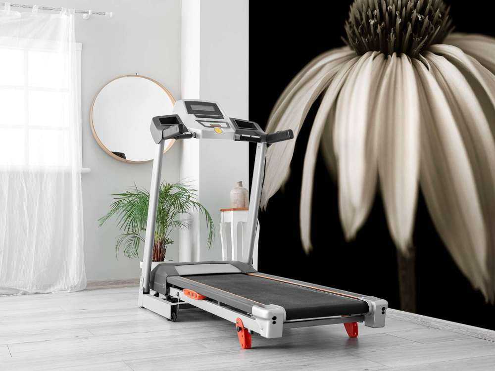 Fleur de cône en gros plan