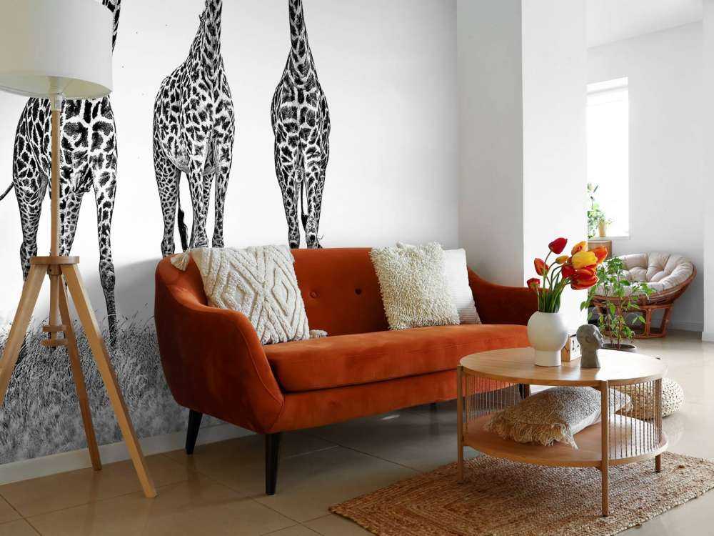 Giraffes in the Mara plains