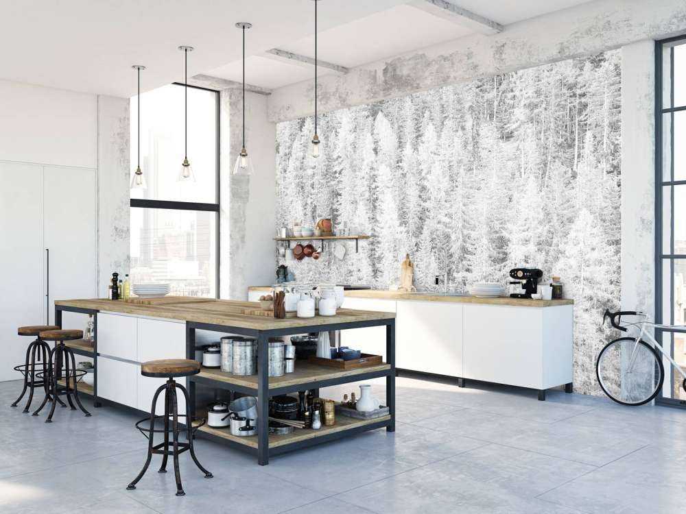 Les conifères en noir et blanc