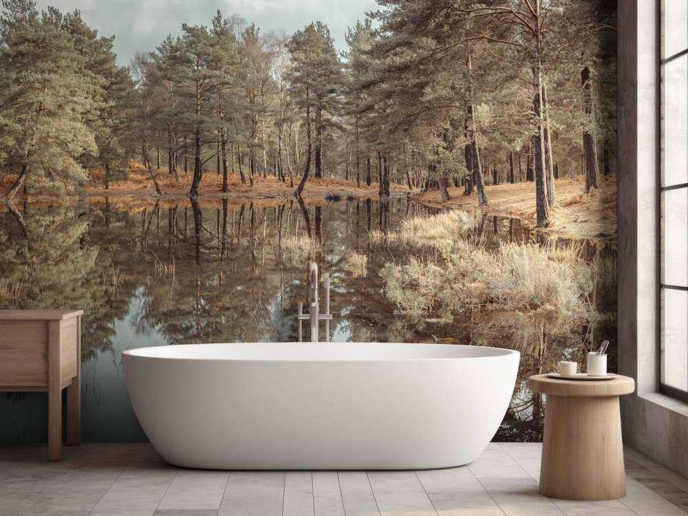 Arbres près d'un lac