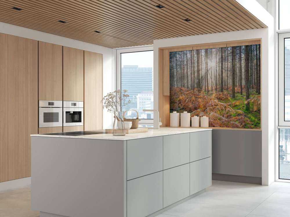 Forêt au lever du soleil