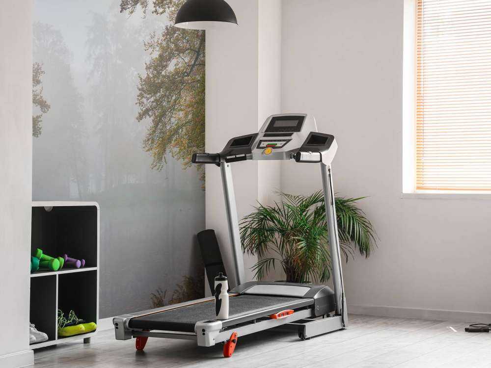 Étang de forêt dans la brume