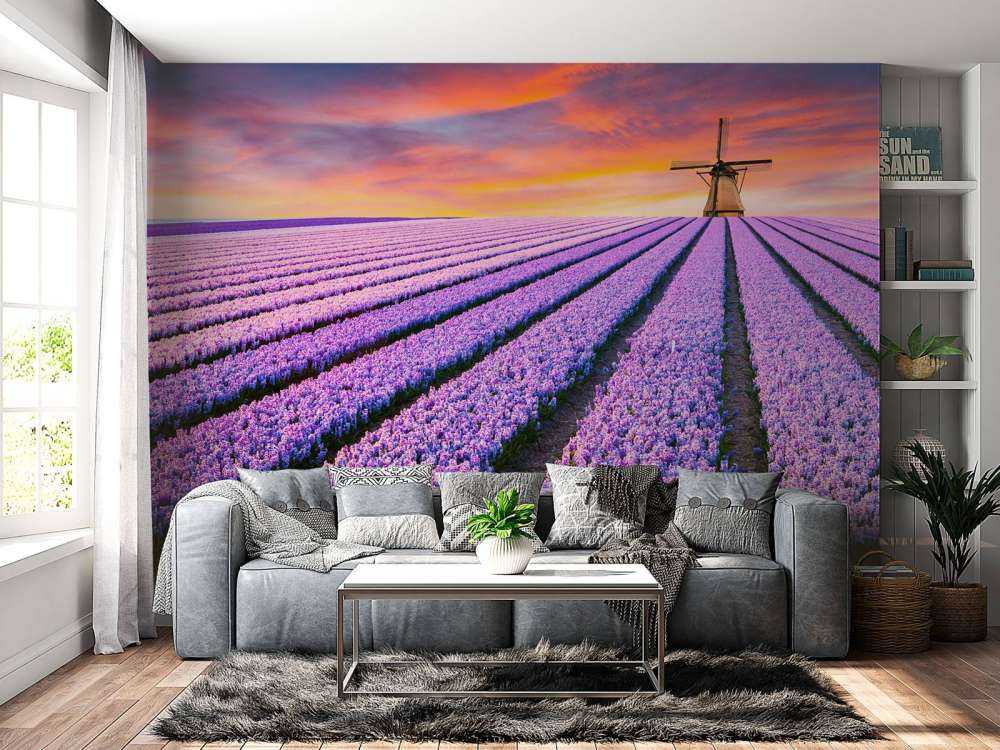 Muscari bleus