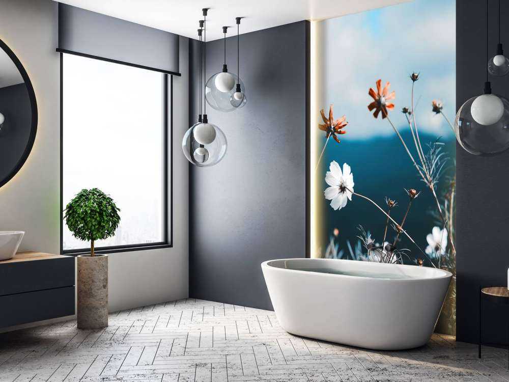 Le cosmos fleurit dans les champs