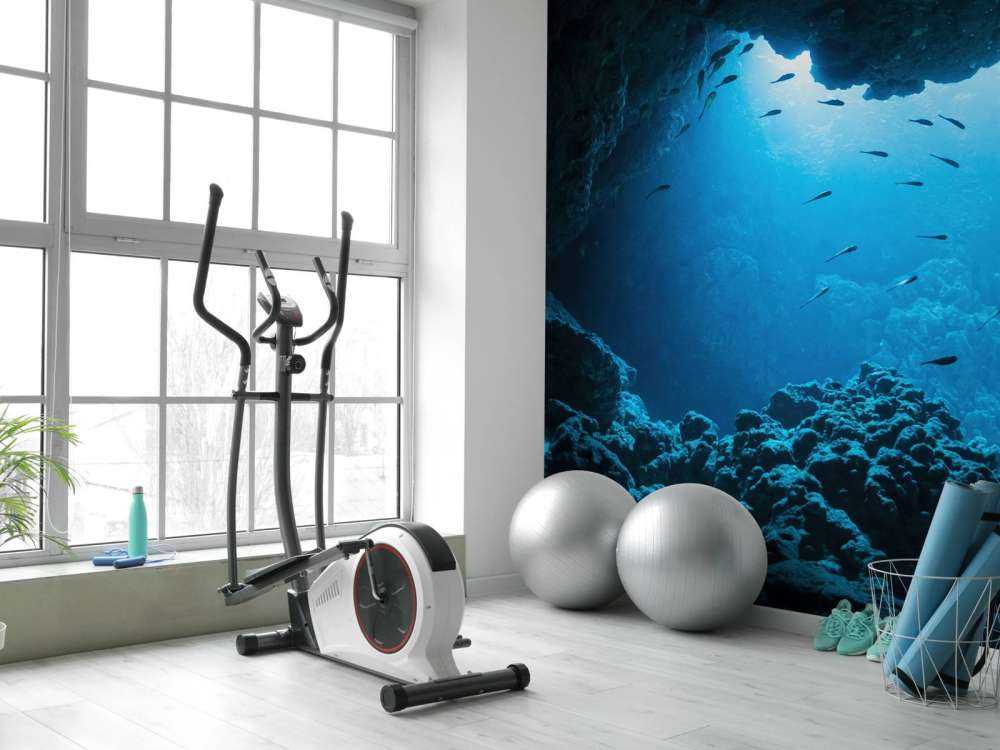 Grotte sous-marine avec des poissons