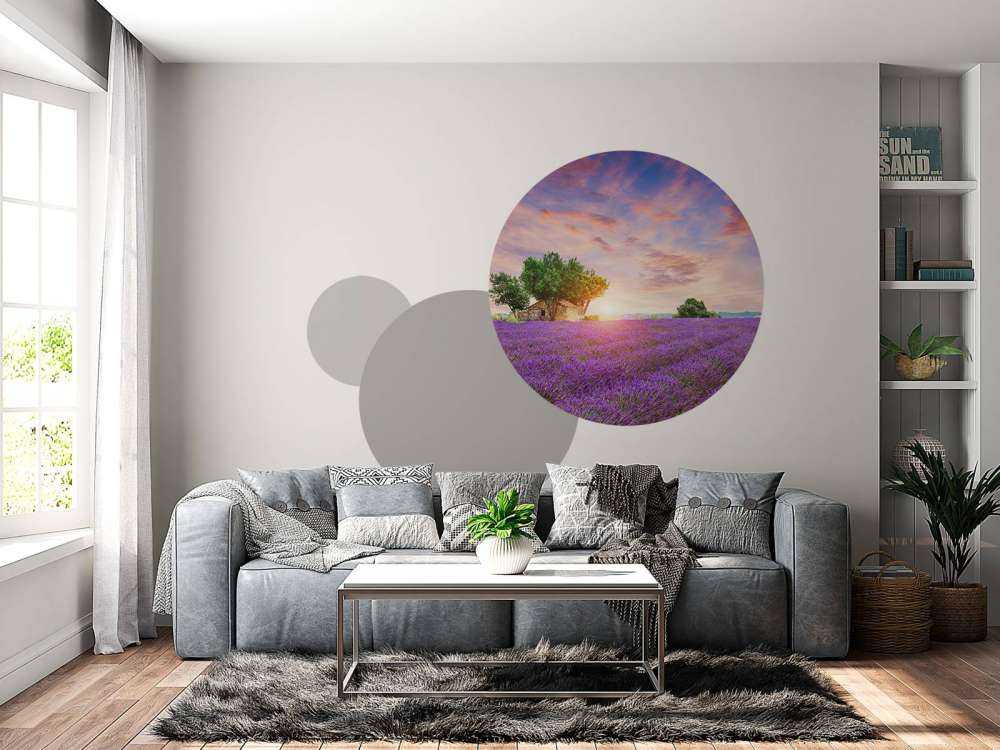 Champ de lavande au lever du soleil