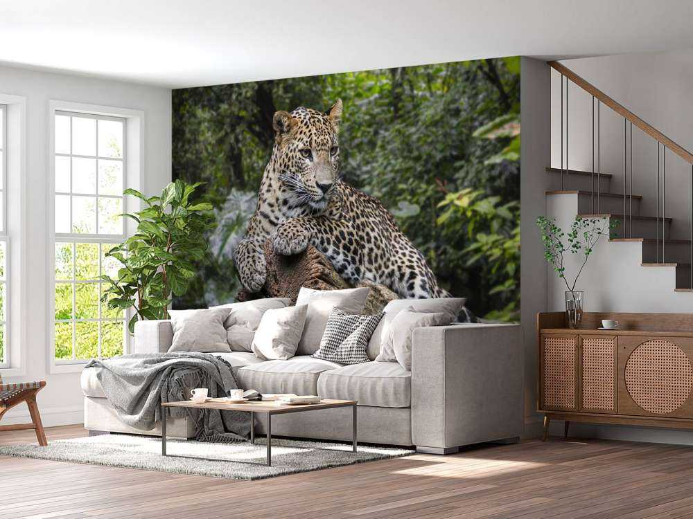 Un léopard sur une branche