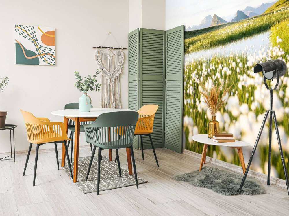 Lumière estivale sur un paysage tourbeux fleuri