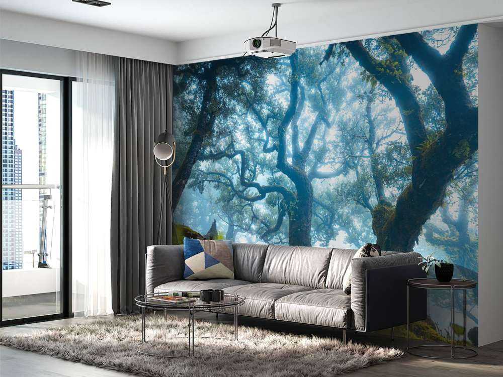 Forêt enchantée dans la brume du matin.