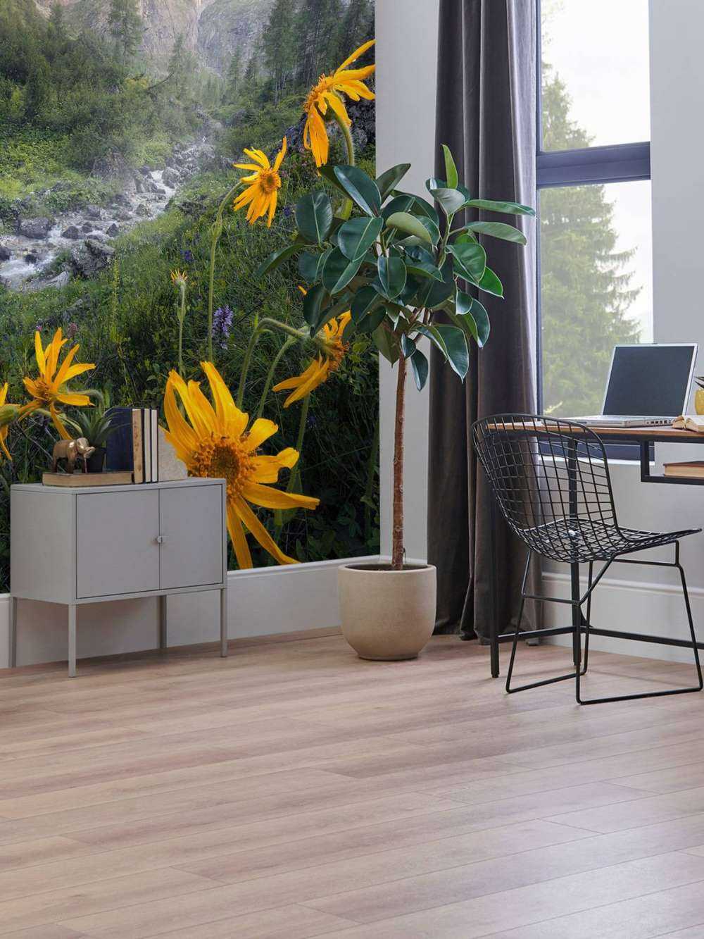 Fleurs alpines gelées dans la vallée de montagne