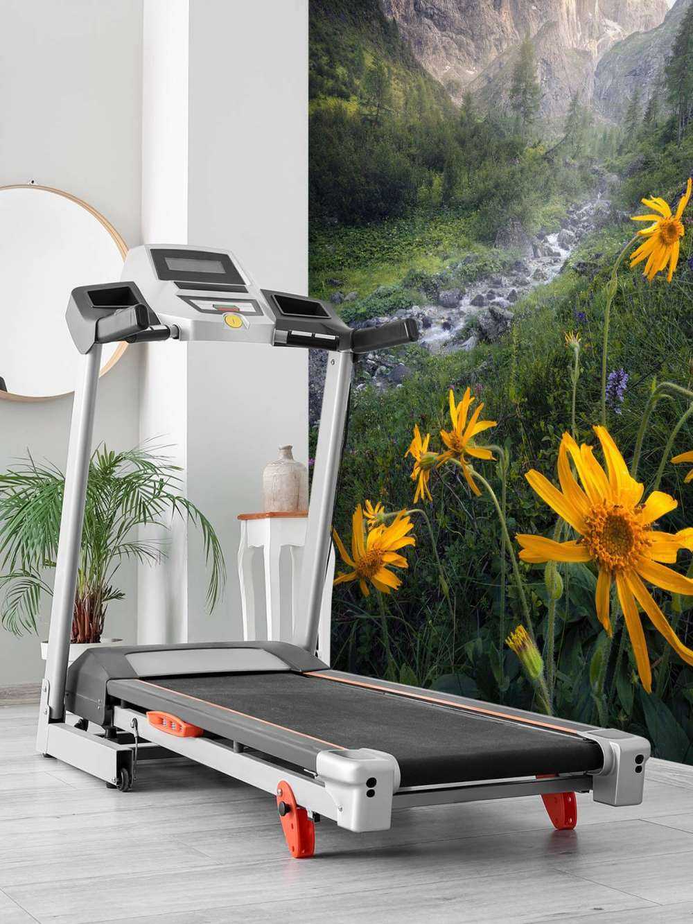 Fleurs alpines gelées dans la vallée de montagne