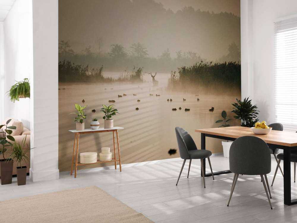 Hert dans un paysage aquatique brumeux