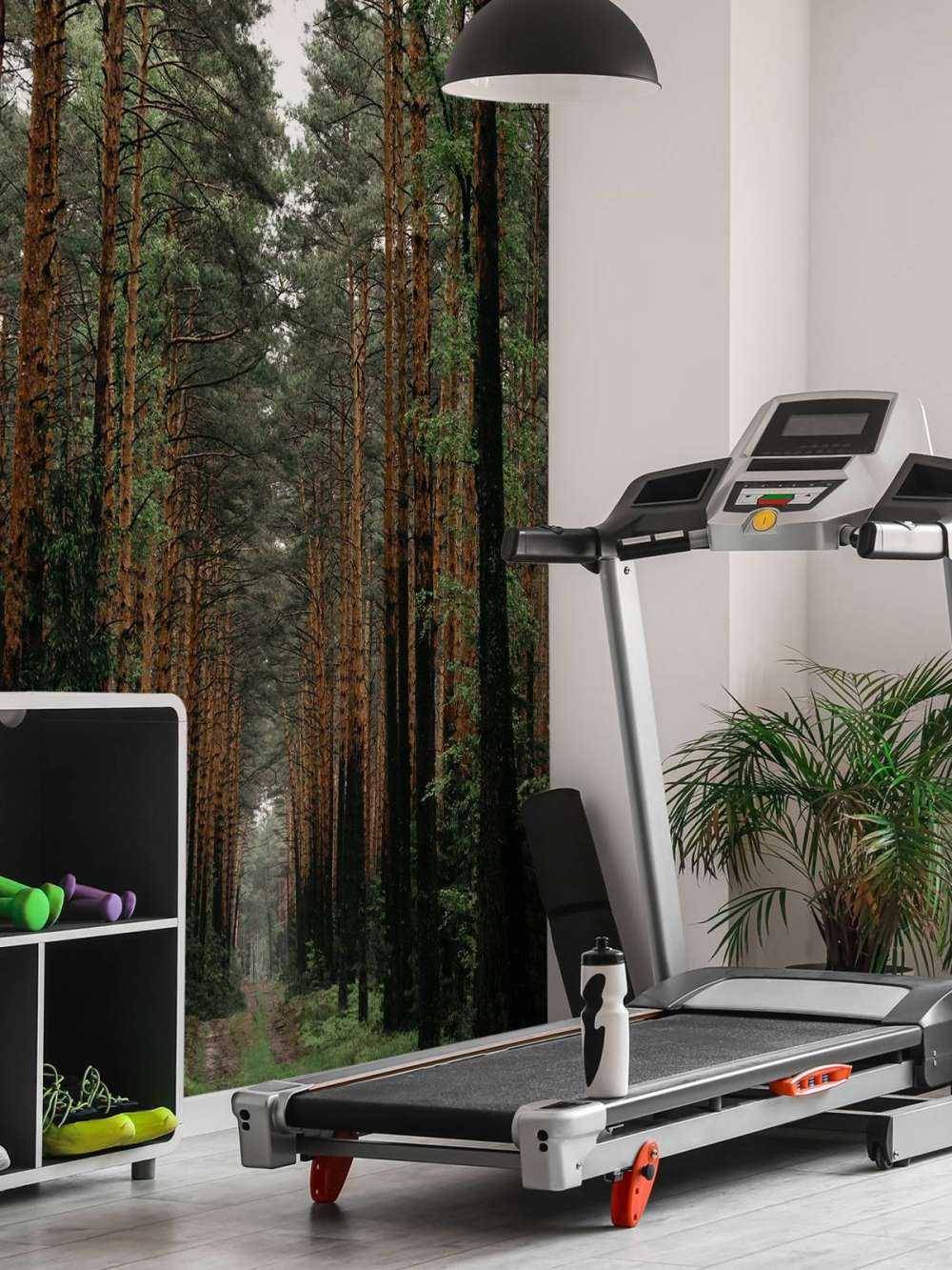 Symétrie de la Forêt