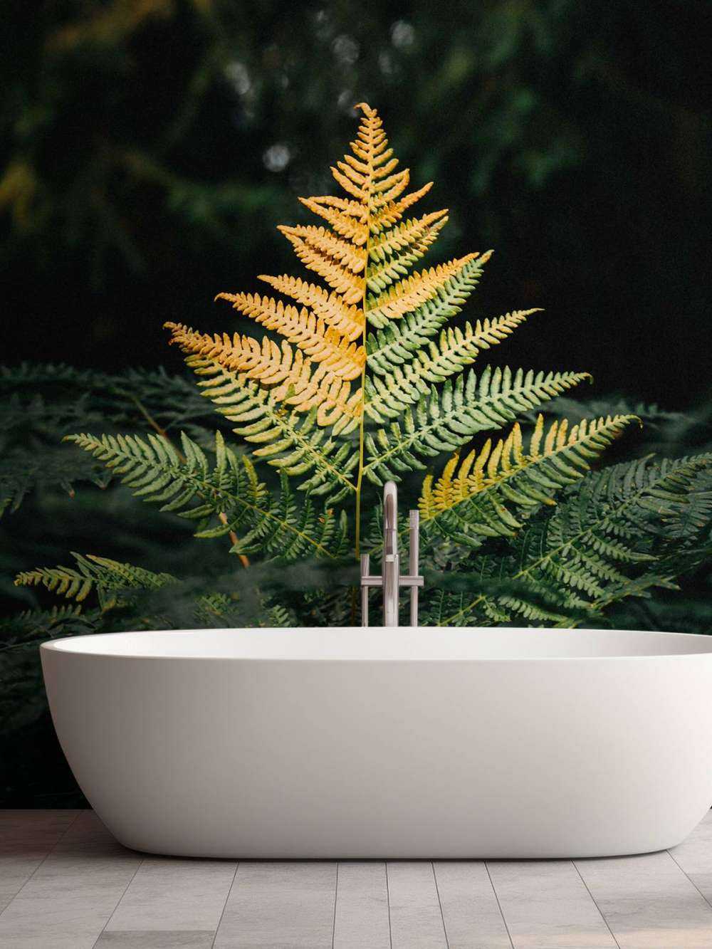 Fougère dorée dans l'ombre