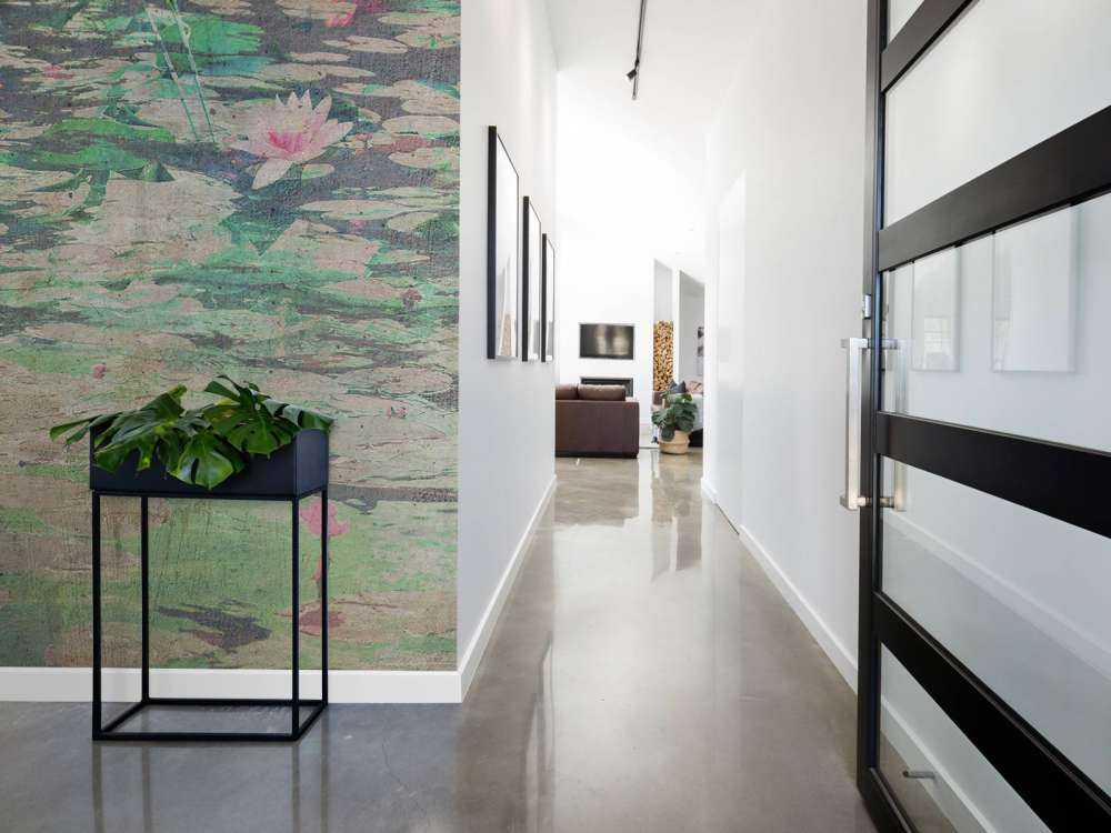 Nénuphars dans la lumière vieillie de l'étang