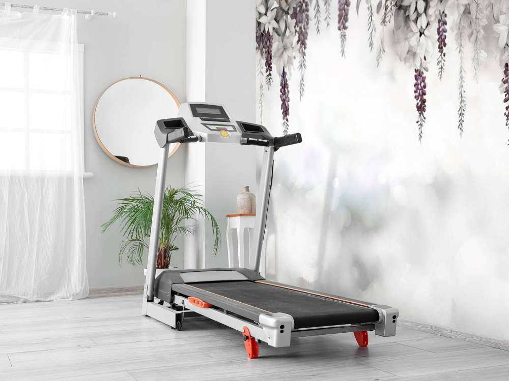 Jardin de Glycine Douce Blanc